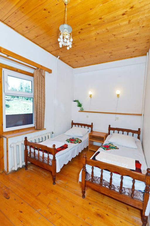 Hotel Apollon Bakuriani Bilik gambar